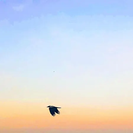 Rhodes Skyline With Out Door Jacuzzi Sea View Lägenhet